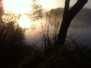 Misty-morning-Reduced-JPEG